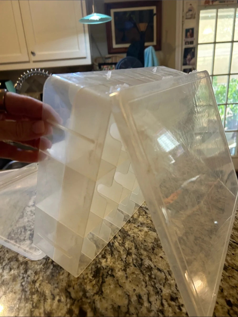 Multi-Compartment Clear Plastic Double Sided Organizer with Caring Handle